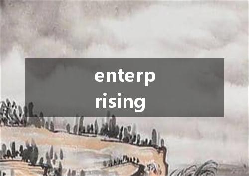 enterprising是什么意思