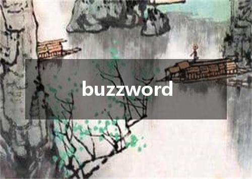 buzzword是什么意思