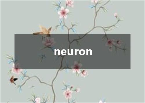 neuron是什么意思