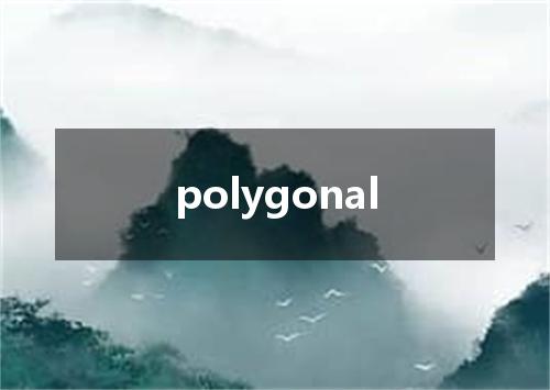 polygonal是什么意思