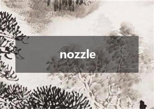 nozzle是什么意思