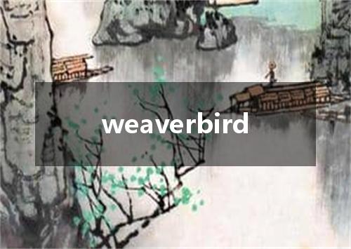 weaverbird是什么意思