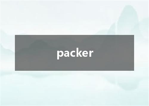 packer是什么意思