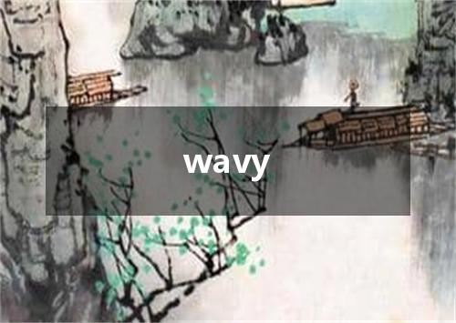 wavy是什么意思