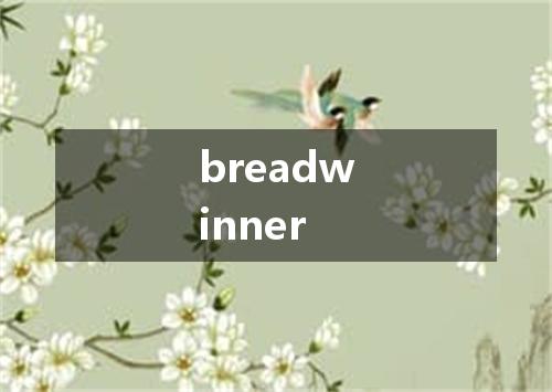 breadwinner是什么意思