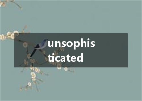 unsophisticated是什么意思