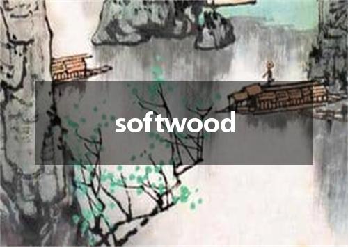 softwood是什么意思