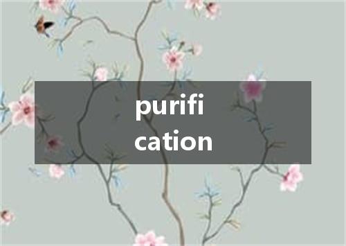 purification是什么意思