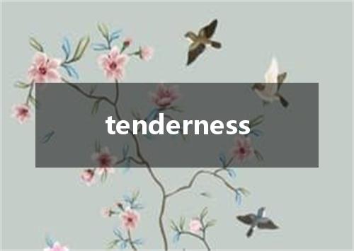 tenderness是什么意思