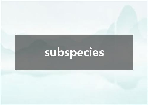 subspecies是什么意思