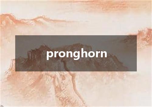 pronghorn是什么意思