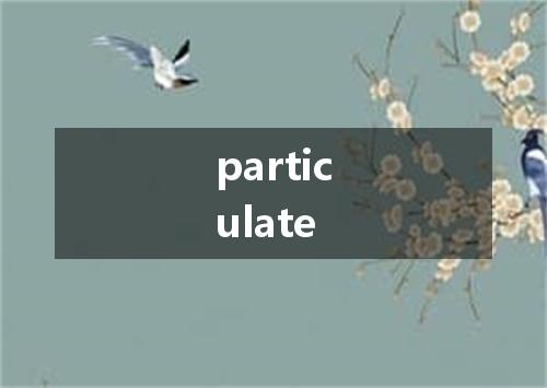 particulate是什么意思