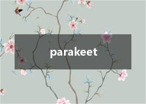 parakeet是什么意思