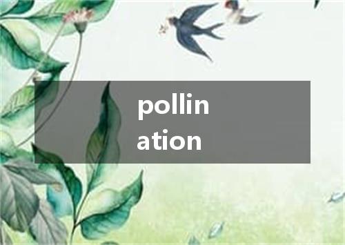 pollination是什么意思