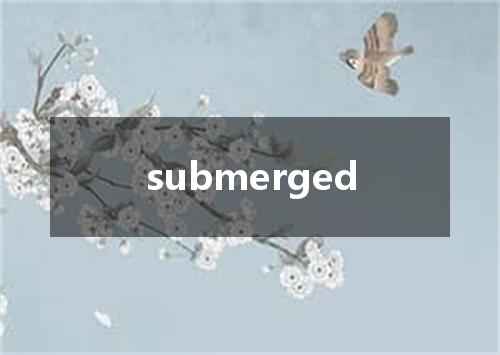 submerged是什么意思