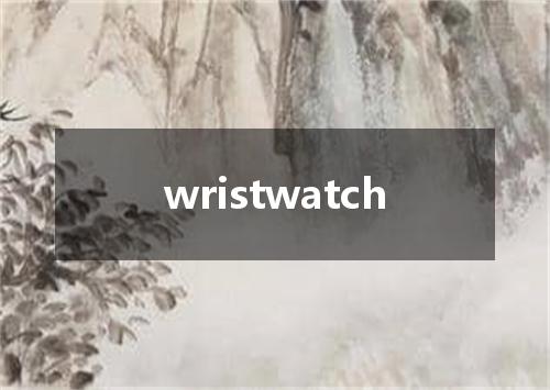 wristwatch是什么意思