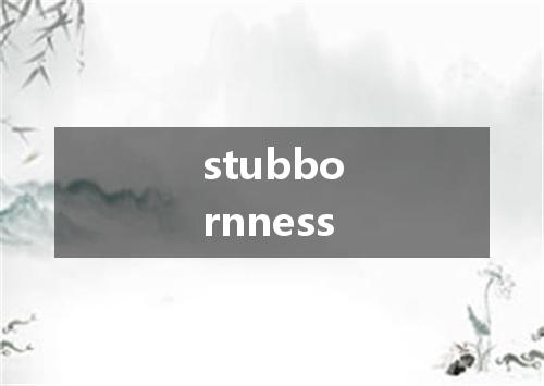 stubbornness是什么意思