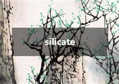 silicate是什么意思