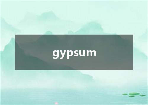 gypsum是什么意思