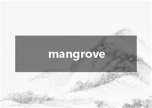 mangrove是什么意思