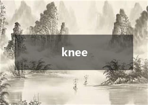 knee是什么意思