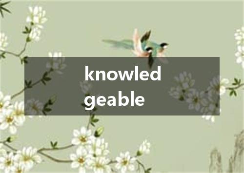 knowledgeable是什么意思