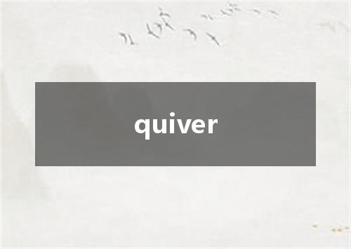 quiver是什么意思