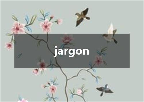 jargon是什么意思