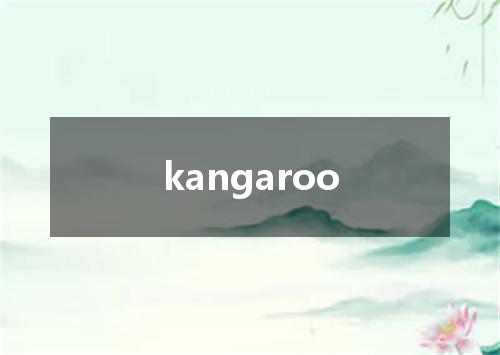 kangaroo是什么意思