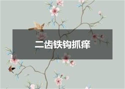 二齿铁钩抓痒