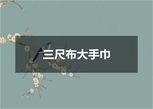 三尺布大手巾