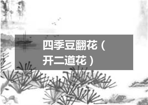 四季豆翻花（开二道花）