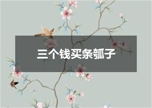 三个钱买条瓠子