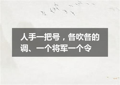 人手一把号，各吹各的调、一个将军一个令