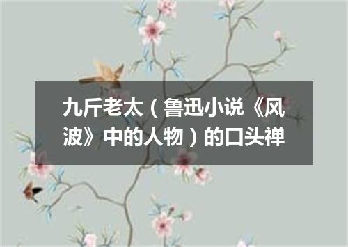 九斤老太（鲁迅小说《风波》中的人物）的口头禅