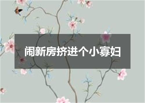 闹新房挤进个小寡妇