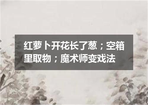 红萝卜开花长了葱；空箱里取物；魔术师变戏法