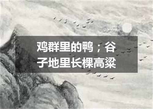 鸡群里的鸭；谷子地里长棵高粱