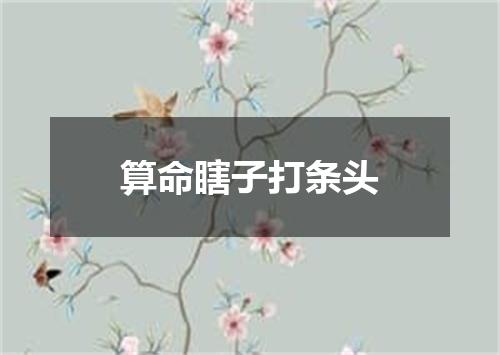 算命瞎子打条头