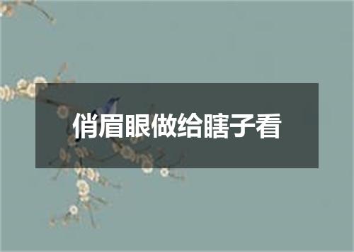 俏眉眼做给瞎子看