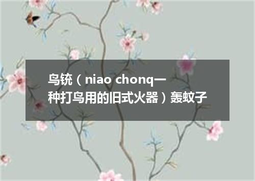 鸟铳（niao chonq一种打鸟用的旧式火器）轰蚊子