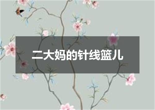 二大妈的针线篮儿