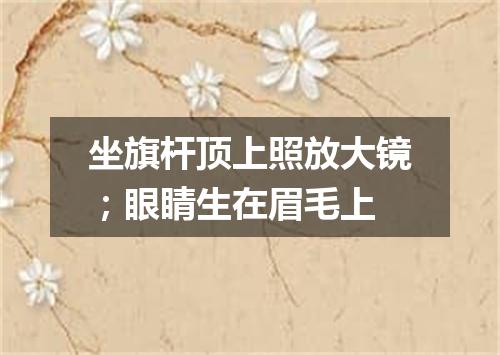 坐旗杆顶上照放大镜；眼睛生在眉毛上