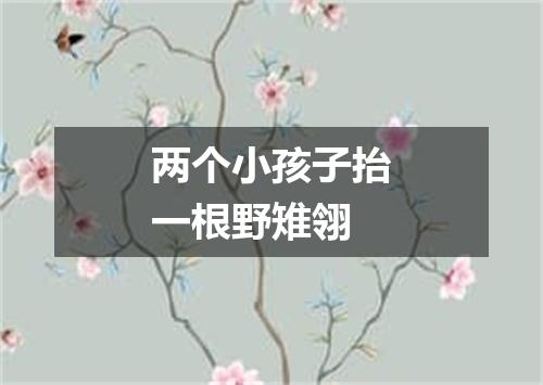 两个小孩子抬一根野雉翎