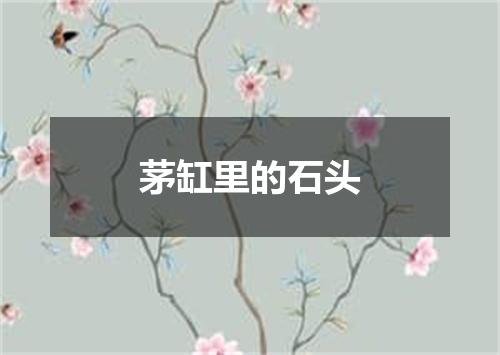 茅缸里的石头