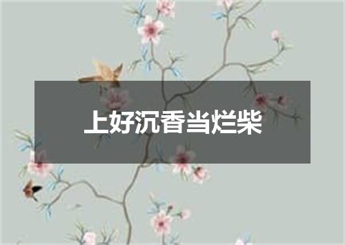 上好沉香当烂柴