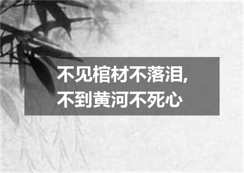 不见棺材不落泪,不到黄河不死心