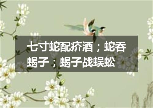 七寸蛇配疥酒；蛇吞蝎子；蝎子战蜈蚣