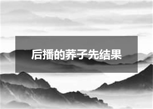 后播的荞子先结果