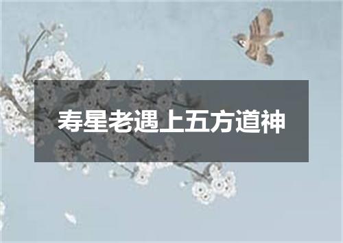 寿星老遇上五方道神